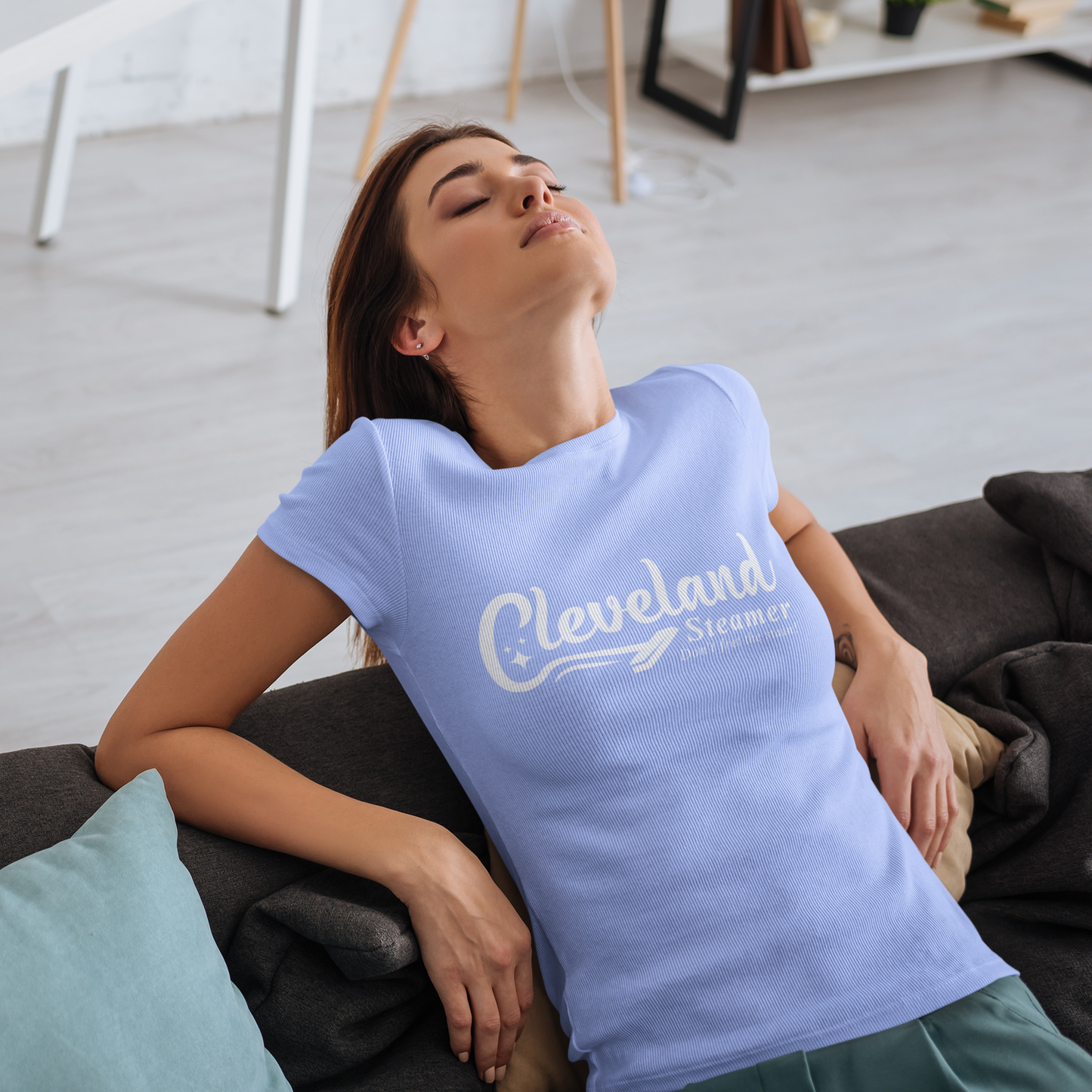 Cleveland Steamer Carpet & Upholstery Cleaning — Funny T-Shirt